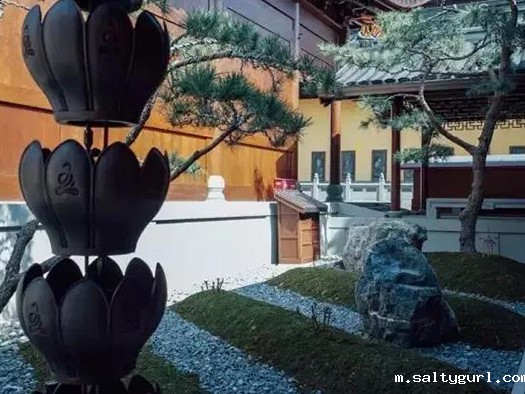 芬兰木屋怎么样？好不好？